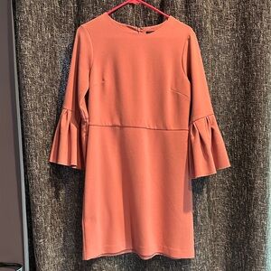 Ann Taylor Peach Long Sleeve Dress